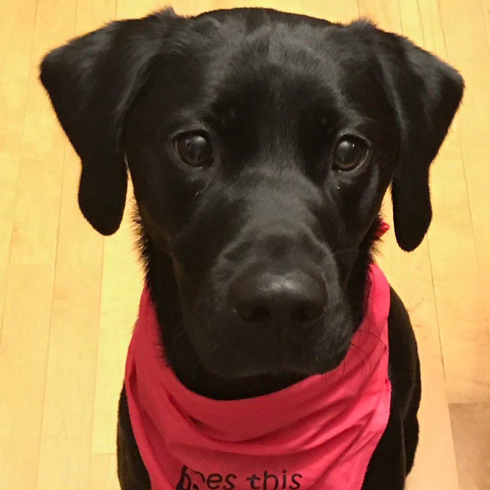 Meet your Posher, Sara